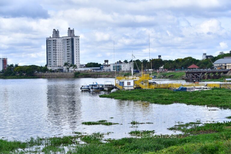 Del Rosso explicó el fenómeno de los “peces muertos” por la creciente de los ríos