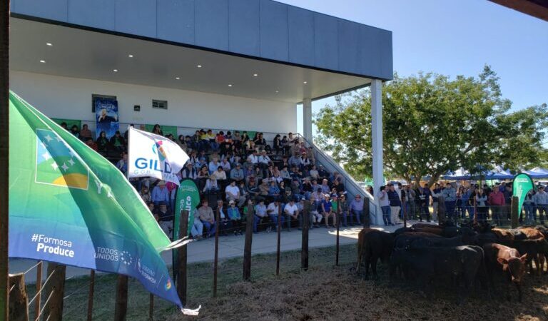 Medio centenar de productores paipperos participaron del remate de Laguna Blanca
