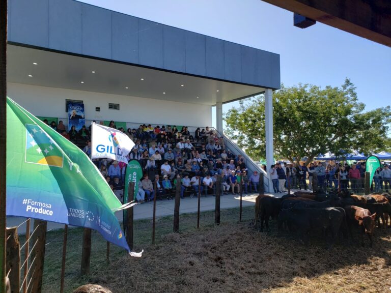 Medio centenar de productores paipperos participaron del remate de Laguna Blanca