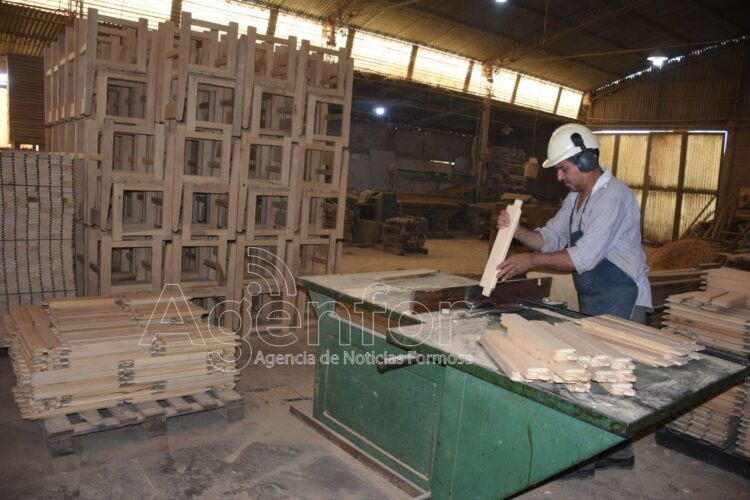 Destacan el “importante” apoyo estatal para potenciar el sector maderero formoseño