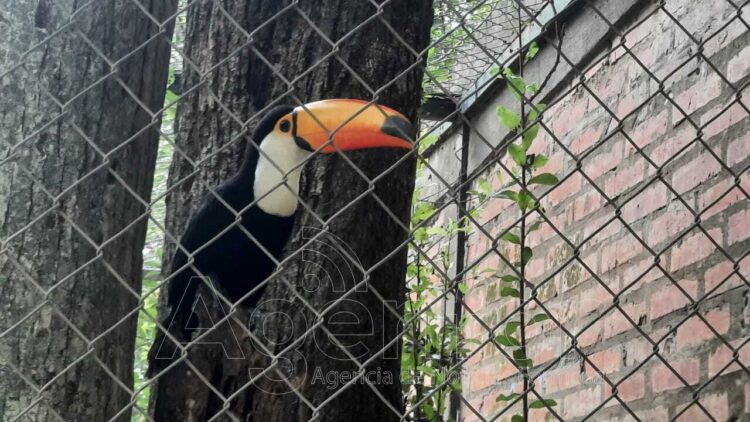 Reserva Guaycolec, una atracción natural en Formosa para los fines de semana