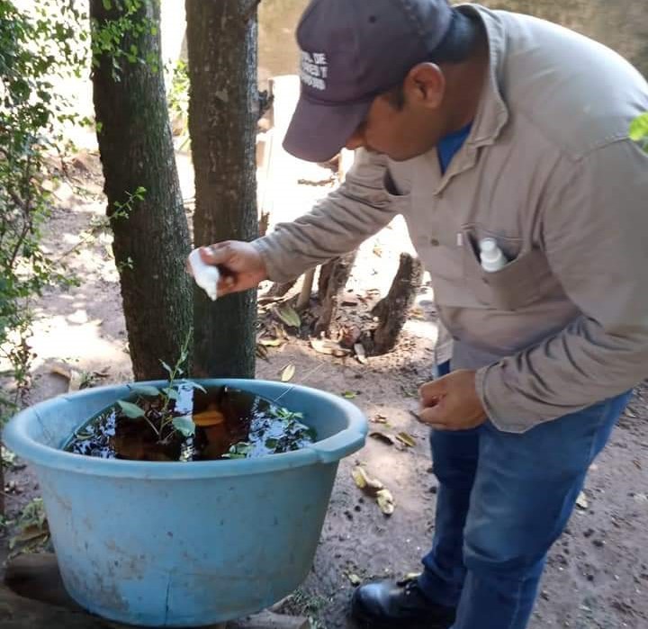 Dengue: Instan a los vecinos a usar el larvicida Bacivec
