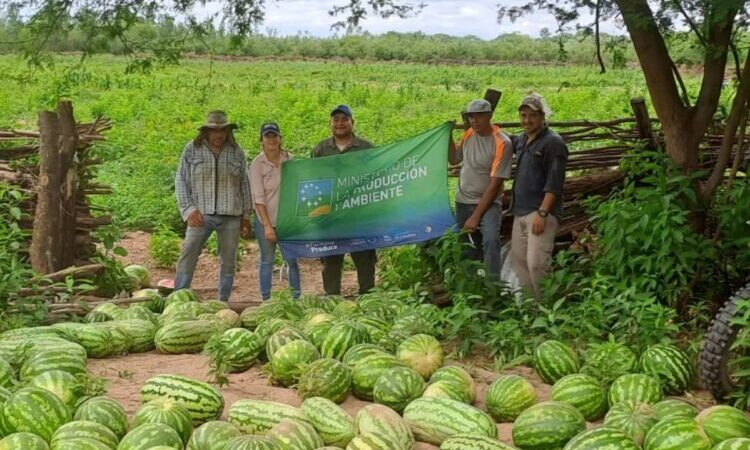 Productores de Laguna Yacaré celebran la época de cosecha