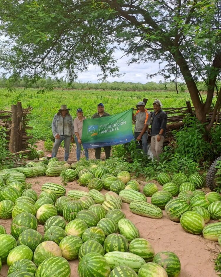 Productores de Laguna Yacaré celebran la época de cosecha