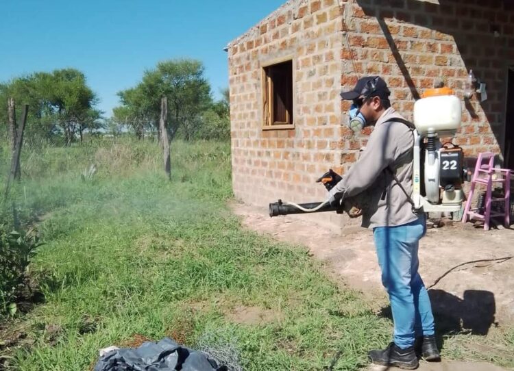 Sin pausa sigue la prevención contra el dengue en el interior