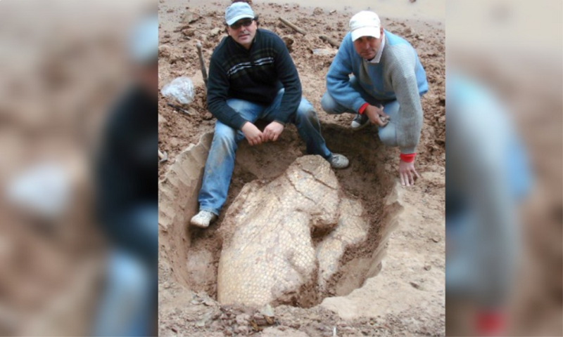 Se cumplen 20 años del hallazgo de fósil de gliptodonte en las barrancas del Bermejo