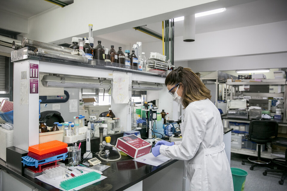 Denuncian que “la ciencia argentina está siendo estrangulada” por las medidas nacionales