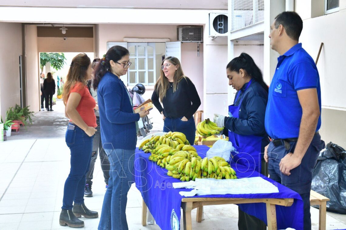 Viernes de gran comercialización en las ferias paipperas