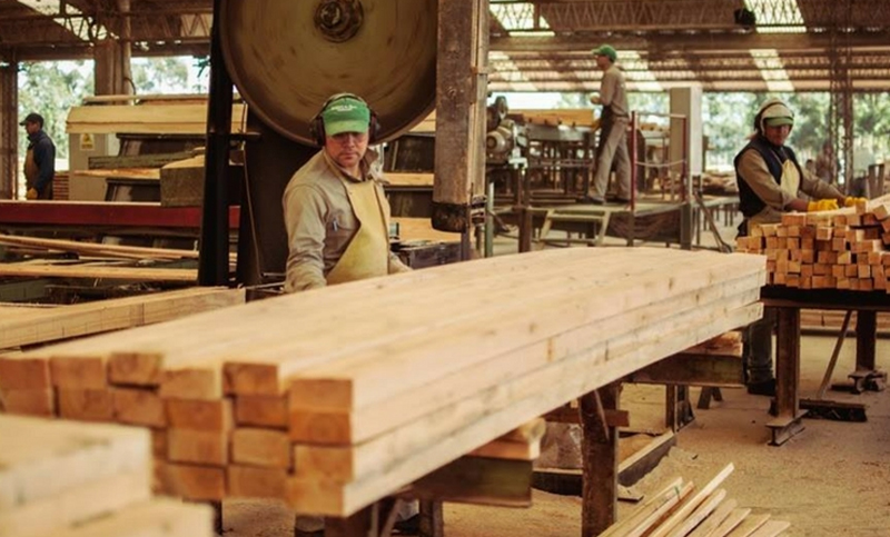 Preocupación de la Unión Industrial de Formosa por el RIGI
