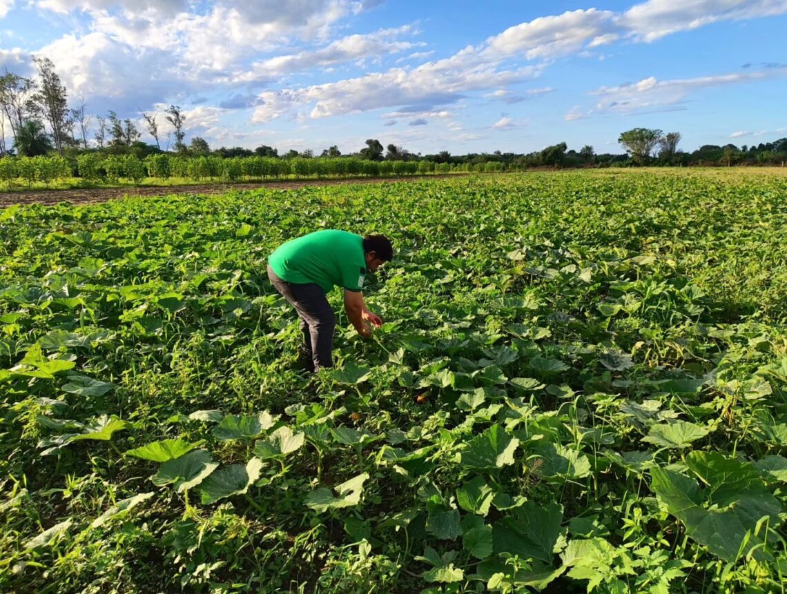 MPyA realizó monitoreo de producción diversificada en Pirané