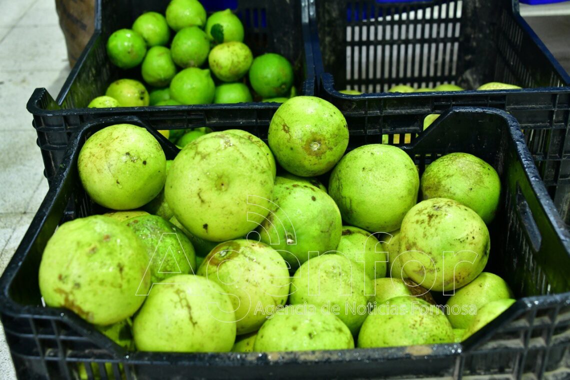 Exitosa feria paippera por el Día del Trabajador