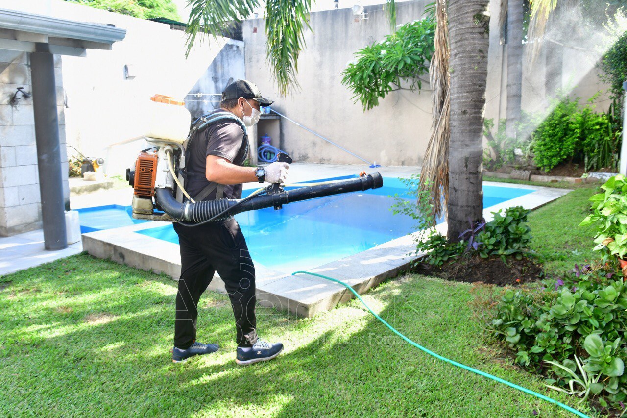 Formosa trabaja de manera continua en la lucha contra el dengue