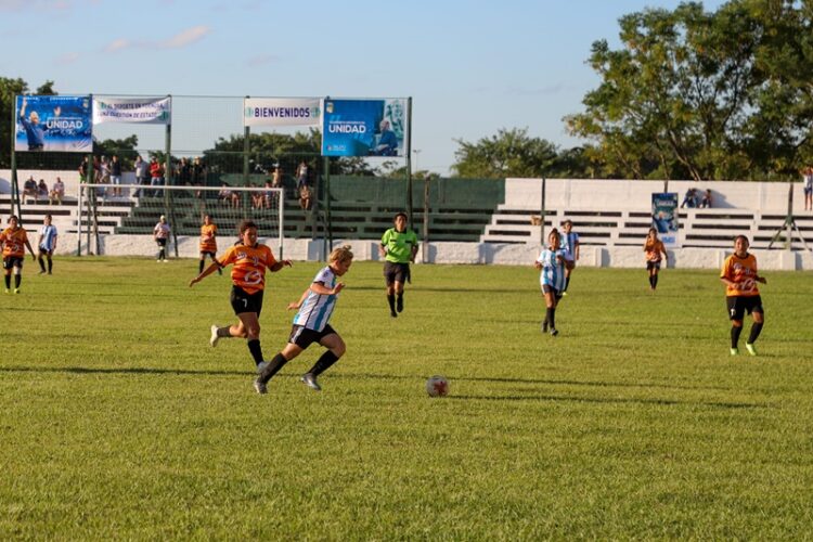 Copa Gildo Insfrán: Ajustan detalles en Tigre para el campeonato más grande de la provincia