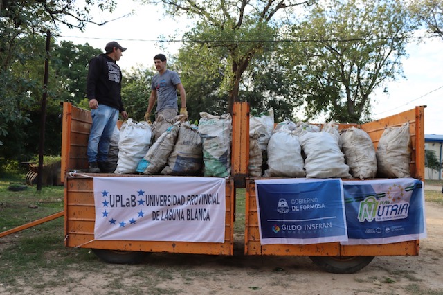 La Universidad Provincial de Laguna Blanca entregó mandioca al Plan Nutrir