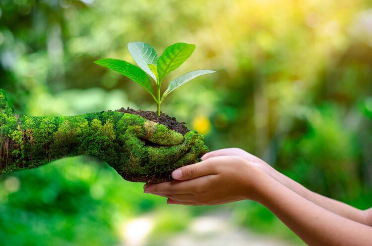 Por el Día Mundial del Medio Ambiente realizarán jornada de concientización en el Bañado La Estrella