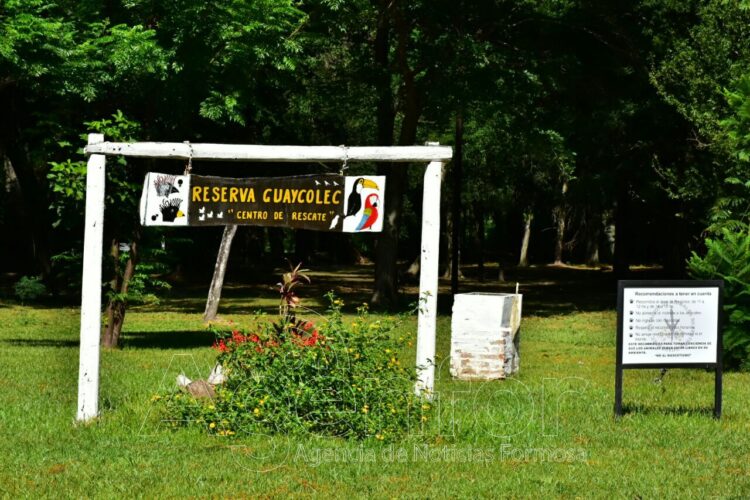 Reabrió la Reserva Guaycolec para la temporada invernal