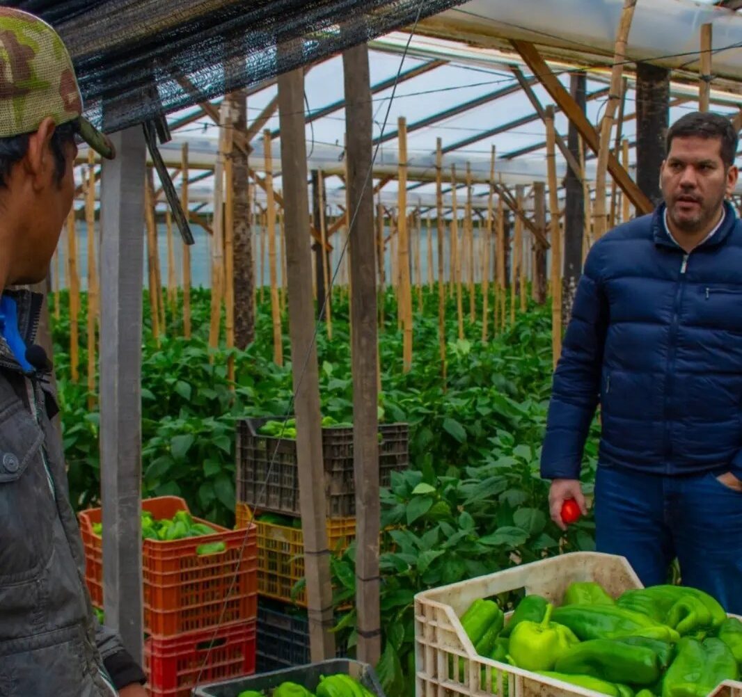 Desde el Ministerio de la Producción coordinan acciones para hacer frente a las bajas temperaturas