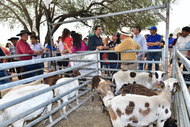El Vicegobernador asistió a la segunda Expo Feria de Ganado Menor y Hortícola en Pozo del Tigre