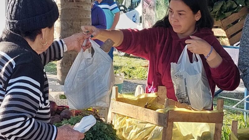 SAF: El programa para la economía familiar visitará el barrio Juan Domingo Perón