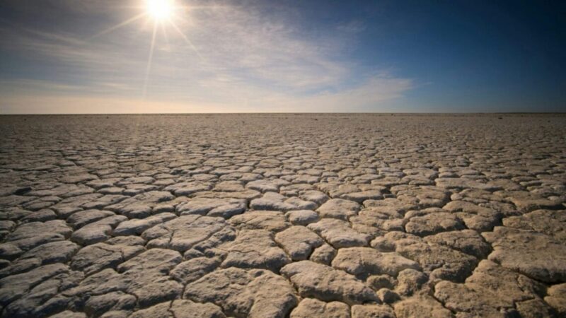 Advierten que el negacionismo climático de Milei “afecta al país”