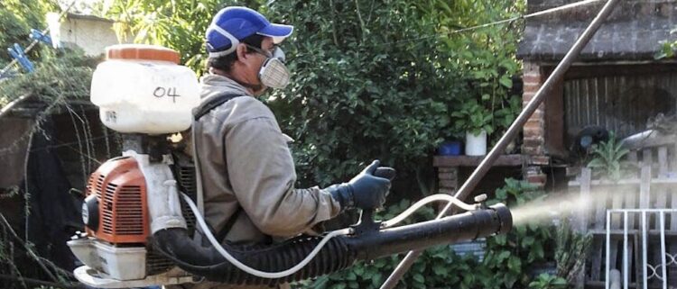 Dengue: El número de casos registrados en esta semana se mantuvo respecto del último reporte