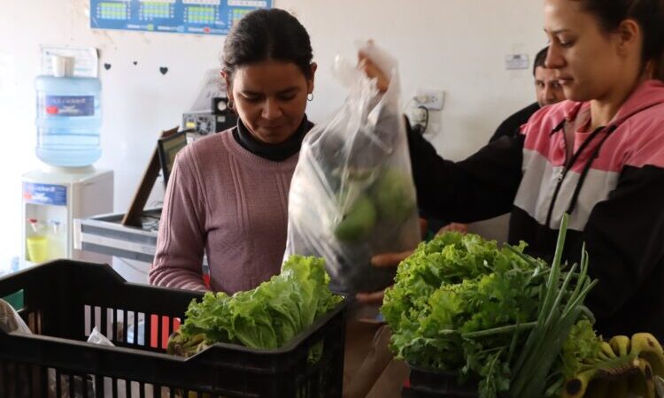 Plan Nutrir: El lunes 6 comienza la entrega de bolsones