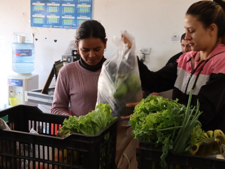 Plan Nutrir: El lunes 6 comienza la entrega de bolsones