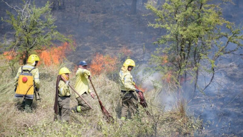 Bomberos trabajaron durante cinco horas para sofocar incendio de pastizales