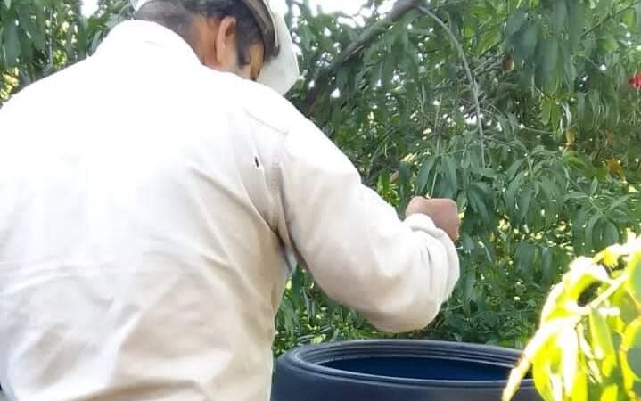 La semana cerró con un aumento en los casos de dengue