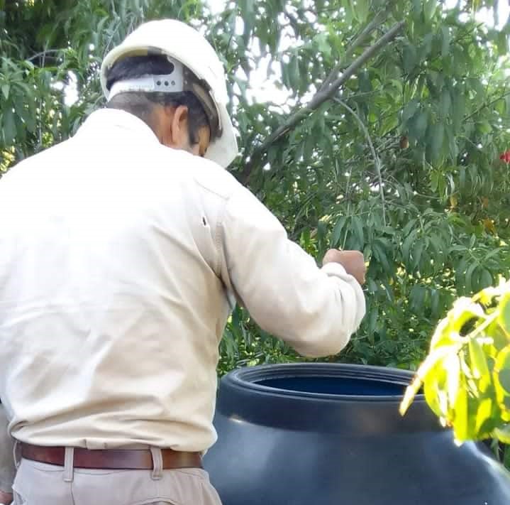 La semana cerró con un aumento en los casos de dengue