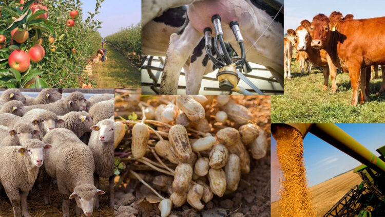 Antueno: “Este Gobierno nacional no está atendiendo a las economías regionales”