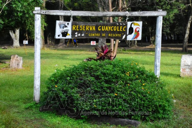 Guaycolec abre sus puertas este fin de semana largo para disfrutar en familia