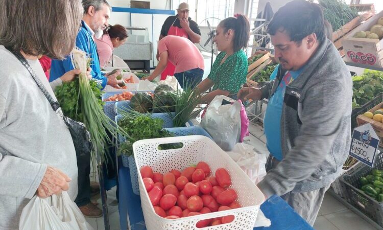 Soberanía Alimentaria Formoseña abrirá las puertas de dos centros fijos este jueves