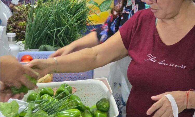 Soberanía Alimentaria Formoseña: Este viernes, las jornadas se desarrollarán en dos centros fijos