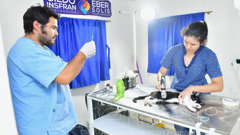 Extenso trabajo del Programa Provincial “Cuidado Responsable de Mascotas” en la localidad de Las Lomitas