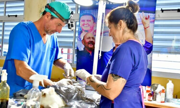 La clínica móvil para mascotas desplegó servicios gratuitos en Pozo Mortero