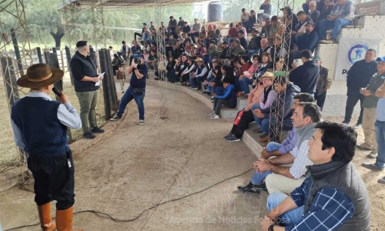 Tras remate ganadero, destacan apoyo del Gobierno provincial a pequeños productores