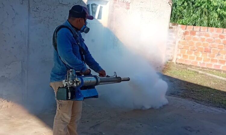 Por tercera semana consecutiva, los casos de dengue mostraron otro descenso
