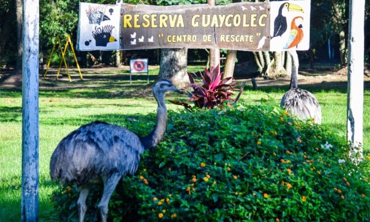 Guaycolec abre sus puertas este fin de semana largo y renueva su compromiso con el cuidado de la fauna silvestre