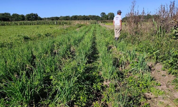 Continúa la entrega de productos paipperos al Plan Nutrir