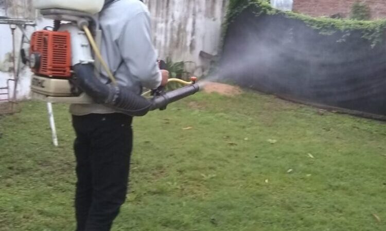 Con amplios trabajos se mantiene activa la prevención del dengue en El Colorado