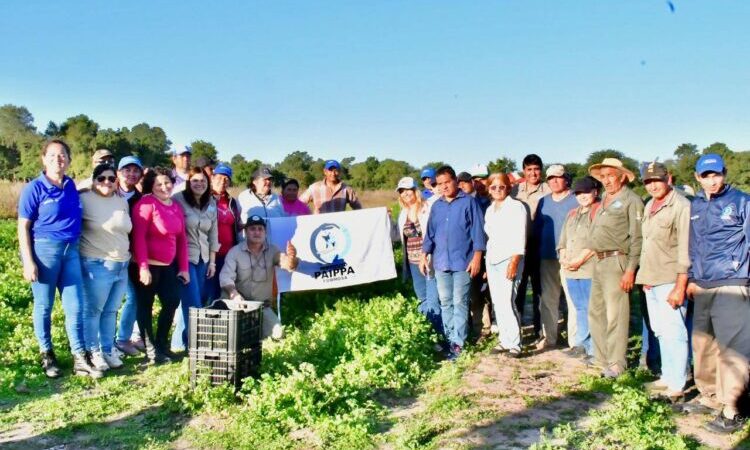 Se realizó una capacitación sobre procesos técnicos de manipulación de hortalizas