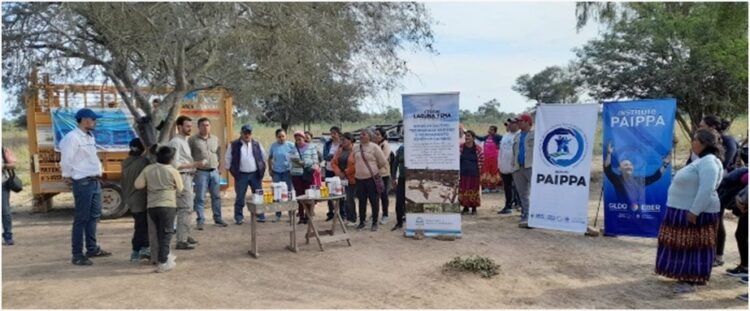 Ingeniero Juárez: el CEDEVA de Laguna Yema y el PAIPPA asistieron y entregaron reproductores ovinos a la comunidad Qoom Le’ec