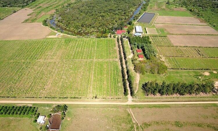 El CEDEVA celebra su 28° aniversario: Una institución clave para el desarrollo agropecuario de Formosa