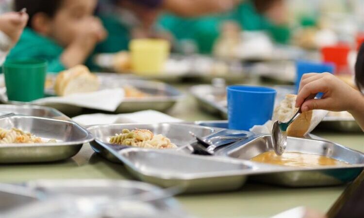 Servicio nutricional activo en escuelas de la provincia durante el receso invernal
