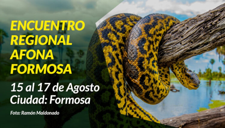 Se lanzó el Encuentro Regional AFONA Formosa