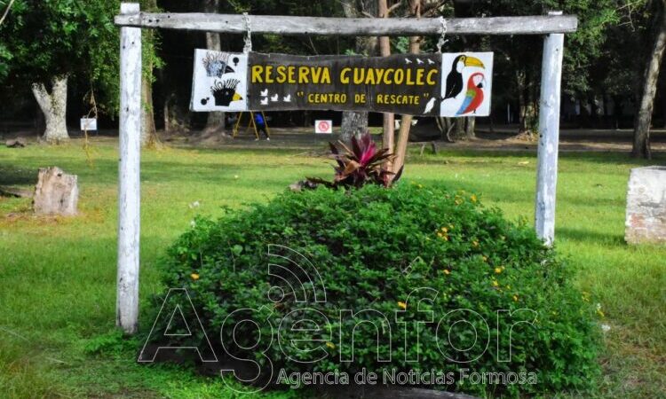 Guaycolec abre sábados, domingos y feriados en vacaciones de invierno