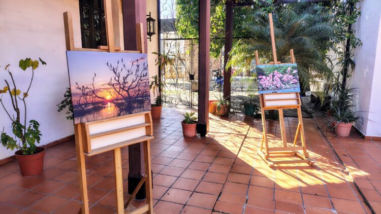 Exitosa presentación de la Galería Digital de Aves “Cantos del Norte”