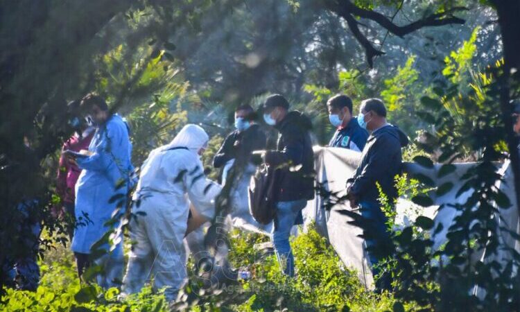 Hallaron en un descampado el cuerpo de Gisela Mendoza, la mujer que estaba desaparecida desde el domingo
