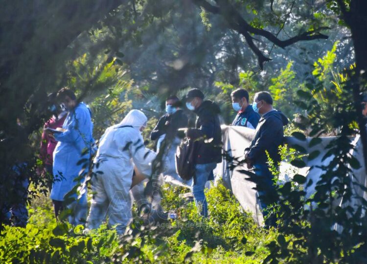 Hallaron en un descampado el cuerpo de Gisela Mendoza, la mujer que estaba desaparecida desde el domingo